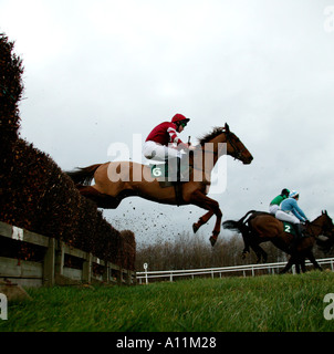 Pferderennen bei Musselburgh East Lothian Schottland Racecourse Stockfoto