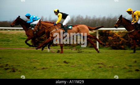 Pferderennen bei Musselburgh East Lothian Schottland Racecourse Stockfoto