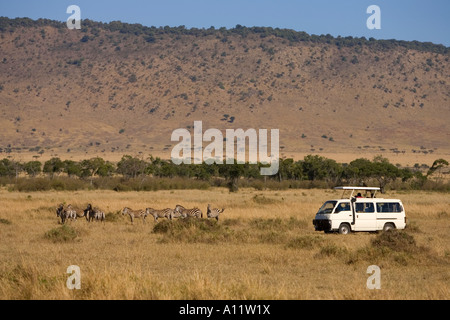 Touristen, die Zebras aus einem Minivan in Masai Mara Kenia beobachten Stockfoto