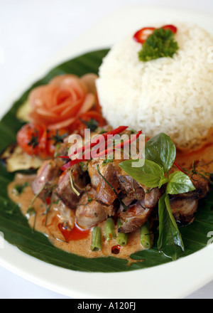 Lamb Penang Essen im Thai restaurant Stockfoto