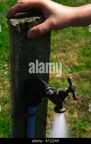 Wasser aus einem Wasserhahn Garten gießen Stockfoto