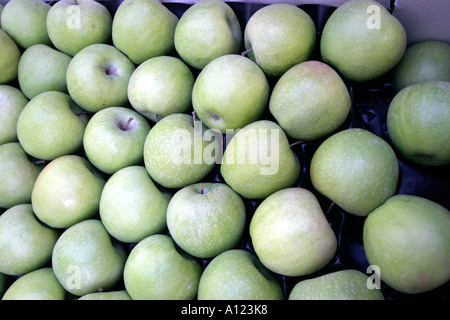 Äpfel für den Verkauf außerhalb ein Gemüsehändler shop Stockfoto