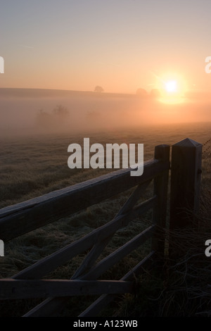 Nebel über der Landschaft in den frühen Morgenstunden in der Nähe von Avebury Wiltshire Rollen Stockfoto