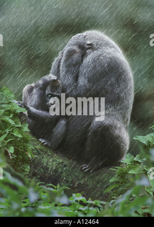 Flachlandgorilla-Mutter und Kind im Regen Stockfoto