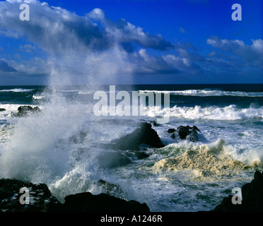 Surf stürzt an Land in einem Strudel von Nebel und Schaum entlang der Küste von Oregon in der Nähe des kleinen Dorfes Ruhestand Stockfoto