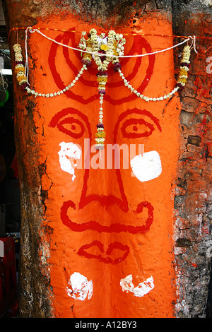 RSC75060 Affe Gott Hanuman gemalt Safran auf Baumstamm, Indien Stockfoto