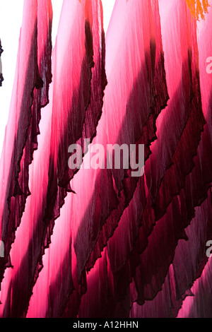 Gefärbte Gewebe trocknen bei der Färber-Souk in Marrakesch Marokko Stockfoto