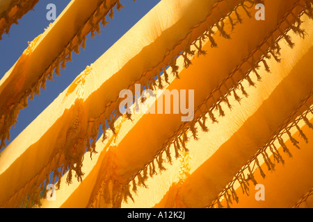 Gefärbte Gewebe trocknen bei der Färber-Souk in Marrakesch Marokko Stockfoto