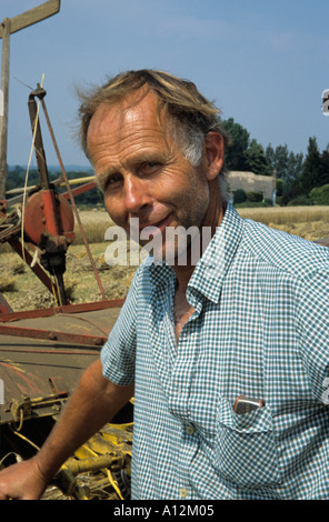 Ernte langes Stroh für die Stroh-Industrie Stockfoto