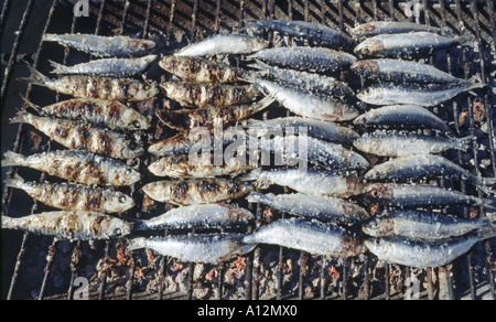 Portugal, Algarve, Portimão, Sardinen auf Holzkohlen-grill Stockfoto