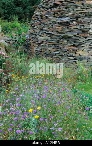 Heide-Abschnitt und Cairn auf der Eden Projekt Cornwall UK Stockfoto