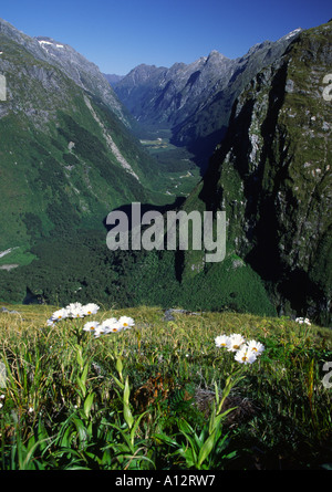 Clinton Valley, New Zealand Stockfoto