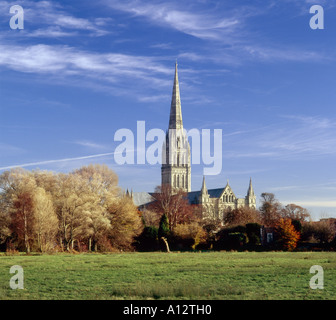 Kathedrale von Salisbury im herbstlichen Abendlicht gesehen aus den Auen Stockfoto