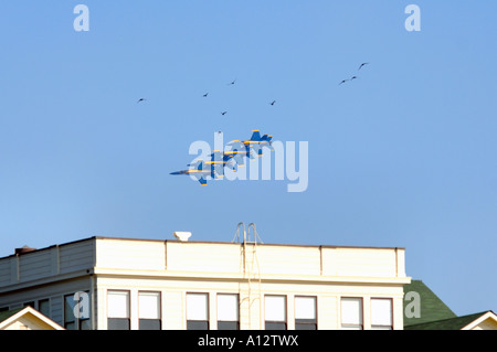 Blue Angels U.S. Naval Flight Demonstration Squadron Stockfoto