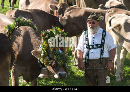 Almabtrieb Viehscheid in Oberstaufen Allgaeu Deutschland Stockfoto