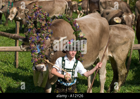 Almabtrieb Viehscheid in Oberstaufen Allgaeu Deutschland Stockfoto