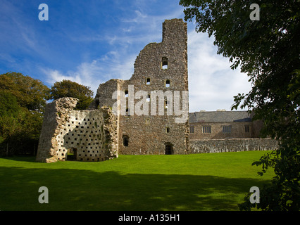 Oxwich Burg, Gower, South Wales, UK Stockfoto