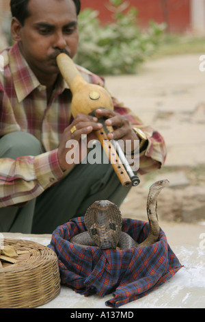 Ein Schlangenbeschwörer in Jaipur, Indien Stockfoto