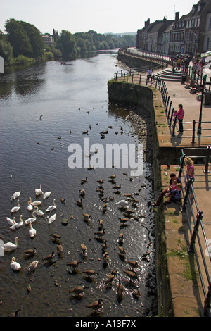 Fluß Severn und Severnside Süd, Bewdley, Hereford und Worcester, England, UK Stockfoto