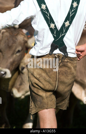 Männer mit Leder Hose Vieh fahren Viehscheid in Oberstaufen Allgaeu Deutschland Stockfoto