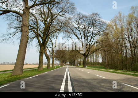 ruhigen Nebenstraße in den Niederlanden ohne Verkehr Stockfoto
