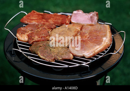 Grill mit verschiedenen Arten von Fleisch Bbq Grill Barbecue Grill Garten im freien Fleisch rohen Steaks Partei gardenparty Stockfoto