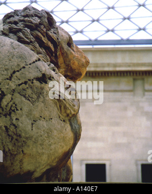 Der Löwe im British Museum Stockfoto