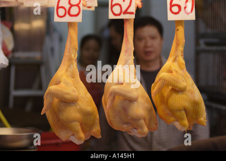 ganze Hühner zum Verkauf in der Wanchai hängen nass Markt, Hong Kong Stockfoto