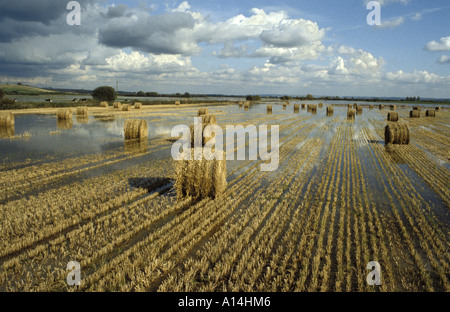Überfluteten Gebiet voller Heu Bails auf Ackerland auf der Somerset Levels November Stockfoto
