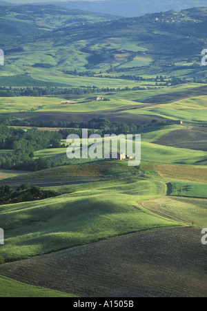 Eine hügelige Landschaft in der Nähe von Pienza Toskana Italien Stockfoto