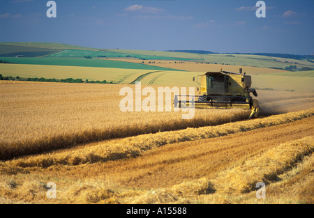 Combine Harvester Salisbury Plain Wiltshire UK Stockfoto
