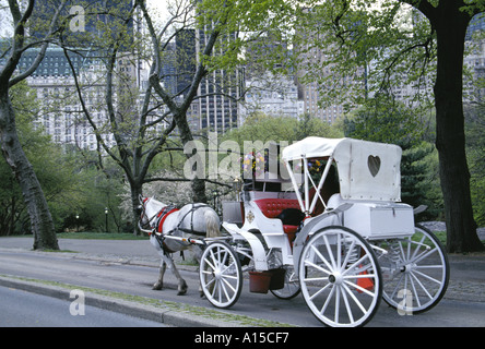 Menschen Reiten Pferd gezogen Schlitten im Central Park mit Midtown Manhatta Gebäude im Hintergrund New York NY USA Stockfoto