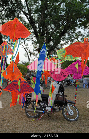 Drachen Stadt Hué Vietnam verkauft Stockfoto