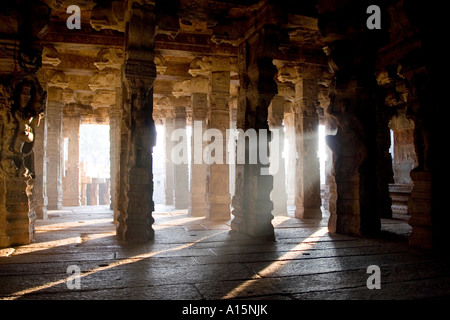 Hindu-Gottheiten geschnitzt in Steinsäulen in einem Virabhadra Tempel in Lepakshi, Andhra Pradesh, Indien Stockfoto