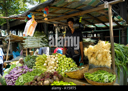 Sri Lanka Markt Gemüsehändler Gemüse essen Gewürz Stockfoto