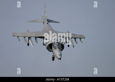 RAF Harrier GR7 im Schwebeflug Stockfoto