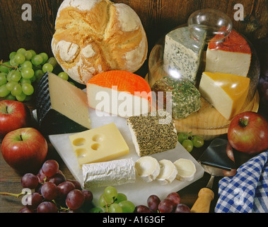 Käse-Stillleben Stockfoto