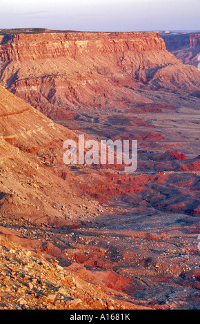 Needles Overlook, Blick auf Indian Creek Area, Sonnenuntergang, Bears Ears National Monument, Utah, USA Stockfoto