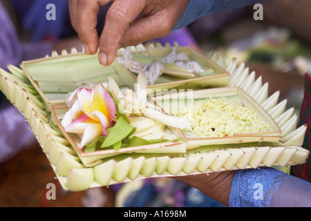 Frau, vorbereiten, Angebot, Ubud Stockfoto