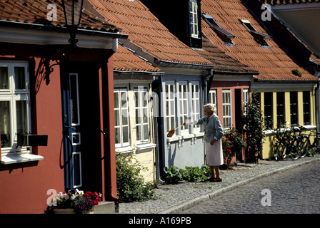 17 Häuser aus dem 18. Jahrhundert Aeroskobing Aero Dänemark Stockfoto