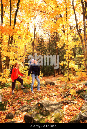 Junge Familie mit Baby Wandern durch Wälder im Herbst Stockfoto