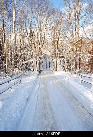 Schöne Winter-Szene Kommunität Straße in Neu-England Stockfoto