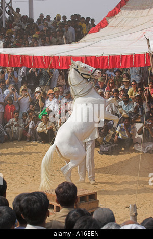 Pferd tanzen bei Puskar Kamel Messe 2006 - Indien Stockfoto