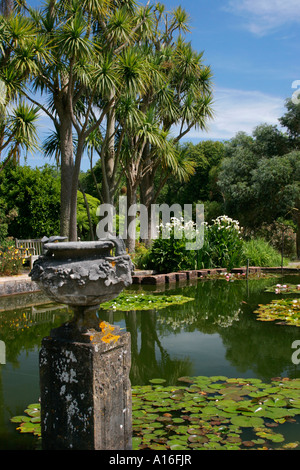 Trachycarpus Palmen und Gartenteich im Logan Botanic Garden in Wigtownshire Dumfries und Galloway-Schottland Stockfoto