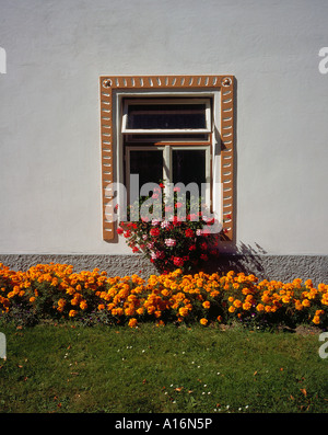 Fenster Detail historisches Dorf Holasovice Ceske Budejovice, Tschechische Republik, Europa. Foto: Willy Matheisl Stockfoto