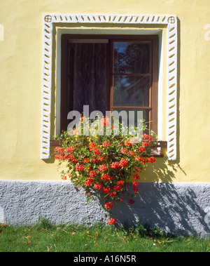 Fenster Detail historisches Dorf Holasovice Ceske Budejovice, Tschechische Republik, Europa. Foto: Willy Matheisl Stockfoto