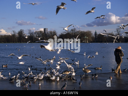 Frau und Vögel am runden Teich in Kensington Gardens London England Stockfoto