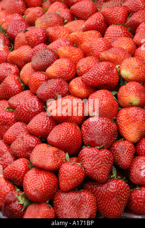 Erdbeeren Stockfoto