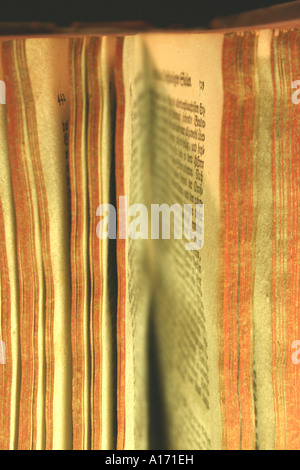 aufgeschlagenes Buch-Seiten Stockfoto