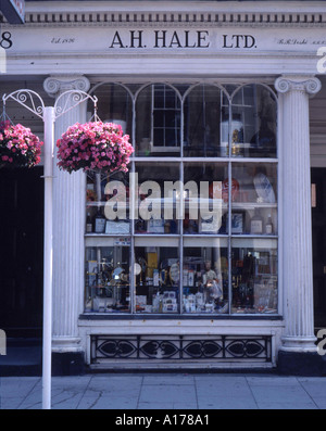Fenster von A H Hale Ltd Chemiker Shop Bath Spa, Somerst, UK Stockfoto